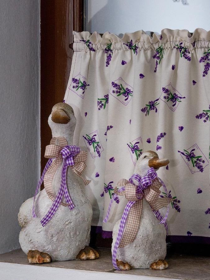 Penzion Gazdovsky Hostinec Topoľčianky Esterno foto